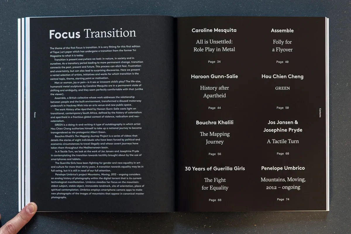 Image of Tique #1: Transition