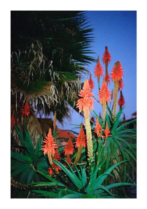 Untitled (from Espinho) by Vincen Beeckman. Published by Tique, 