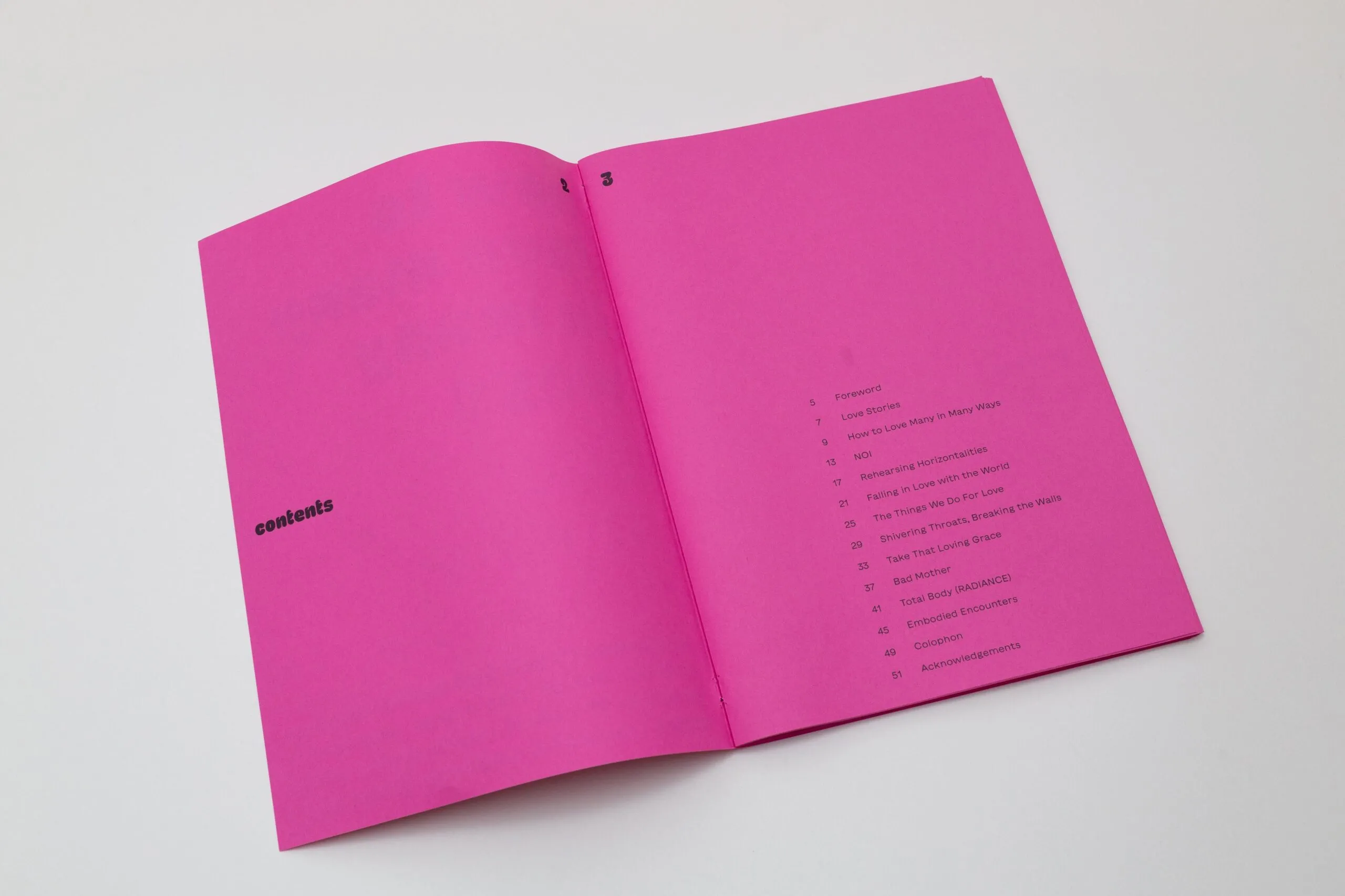 Image of How to Love Many in Many Ways