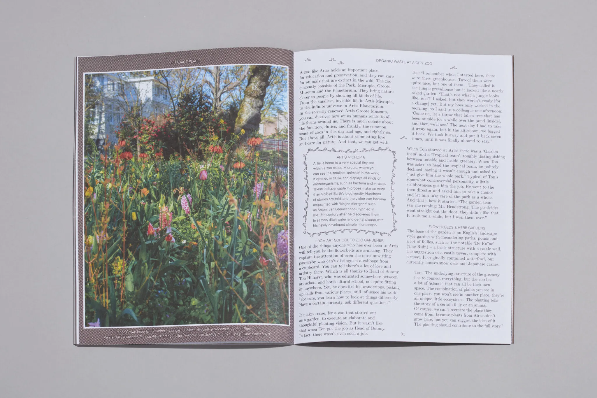 Image of Pleasant Place – Issue 3: Compost
