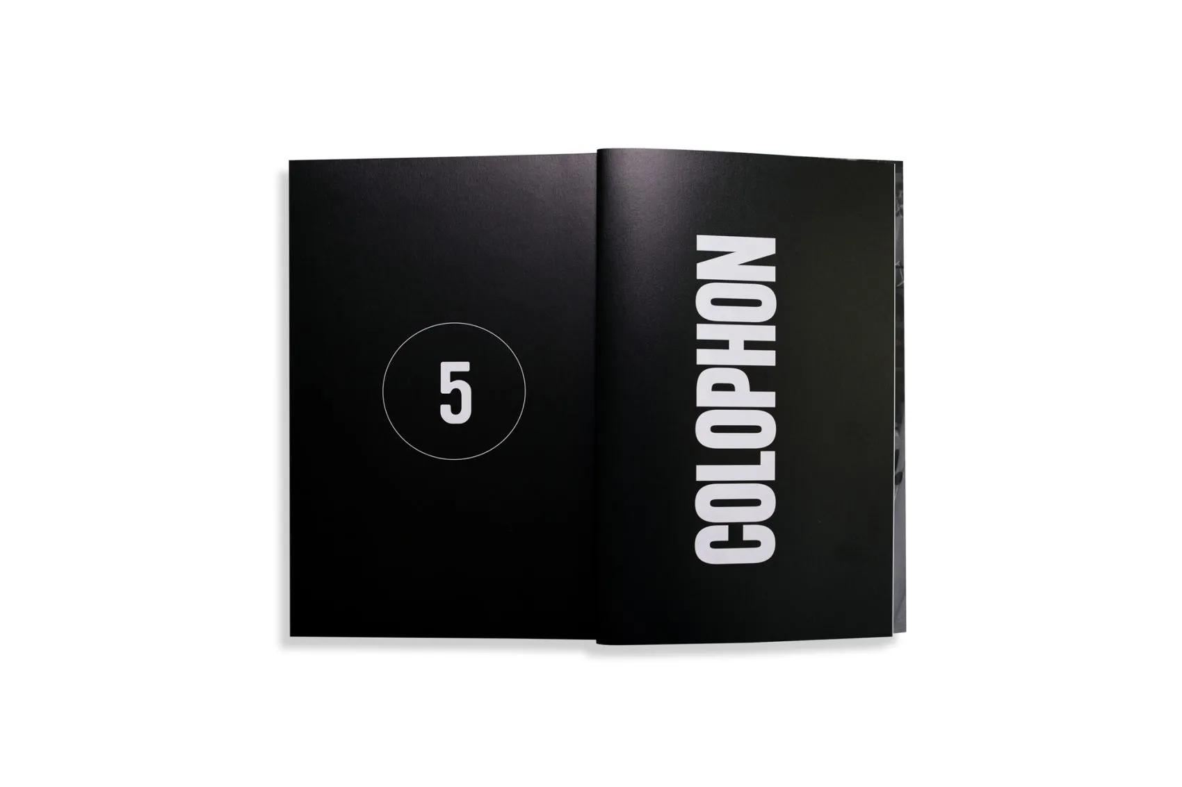 Image of Artist-run democracy: sustaining a model