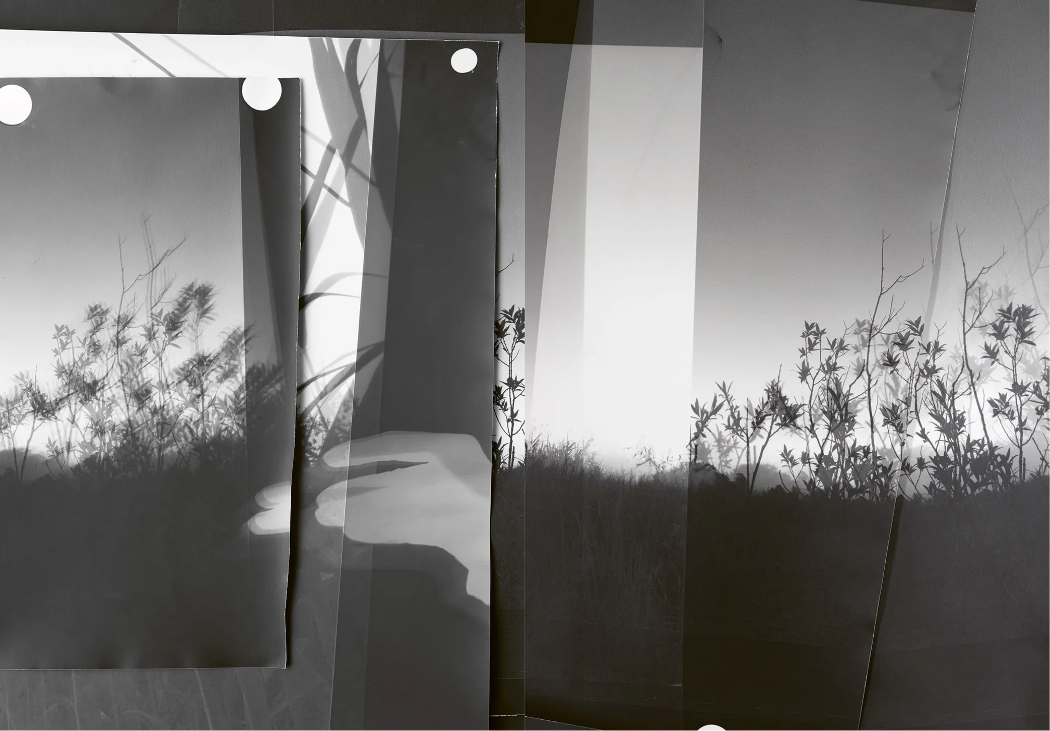 Image of Berit Schneidereit – Walks, conversations