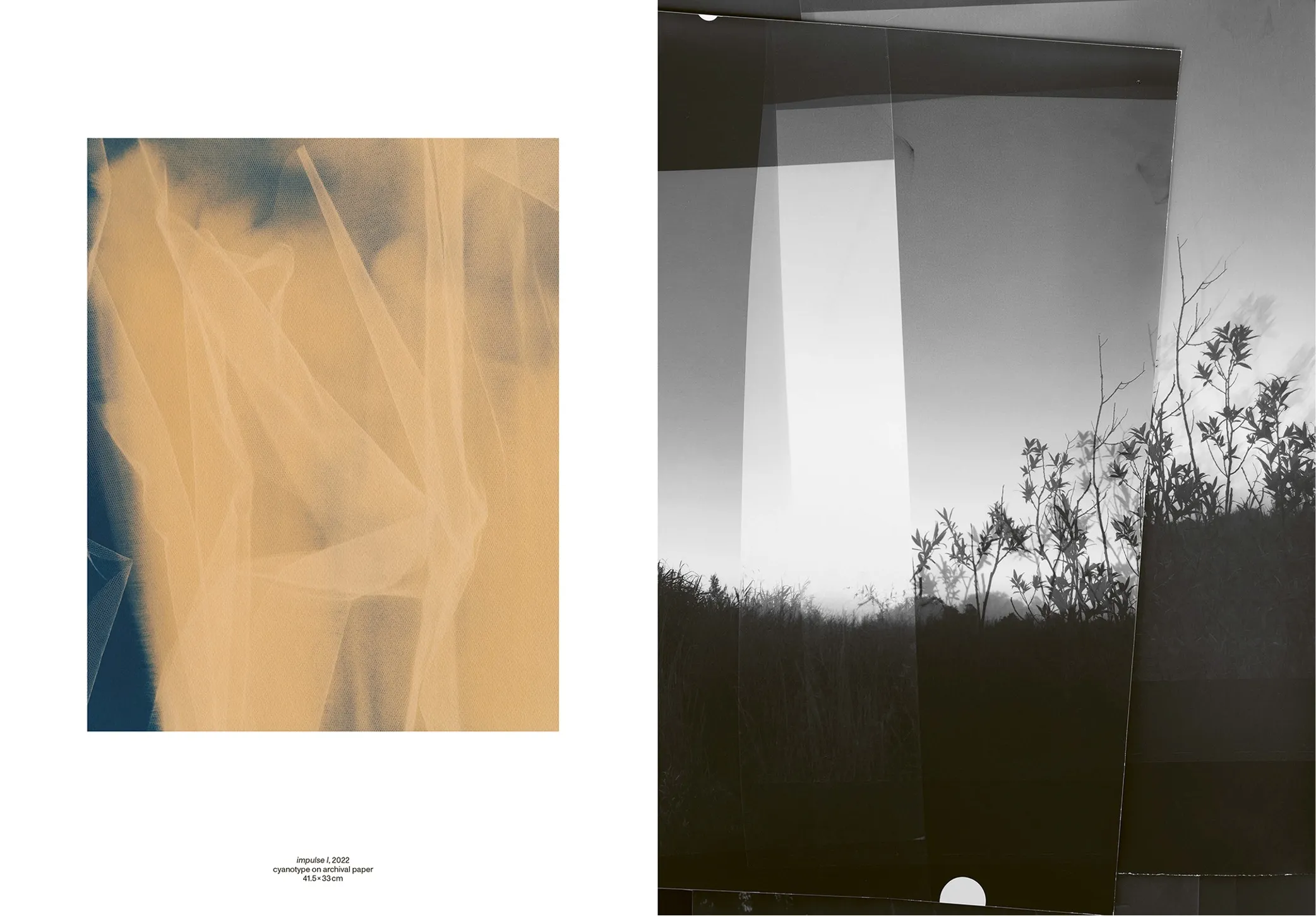 Image of Berit Schneidereit – Walks, conversations