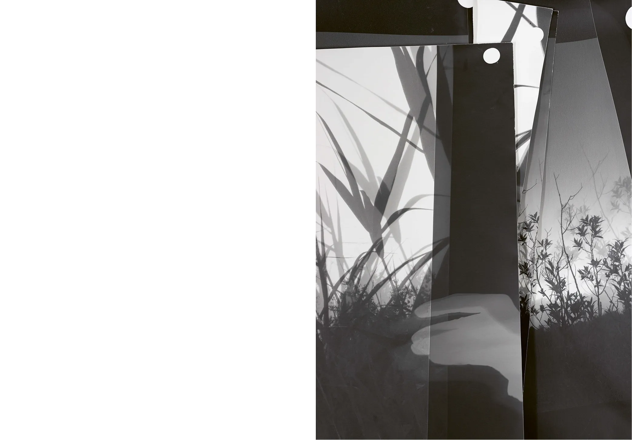 Image of Berit Schneidereit – Walks, conversations