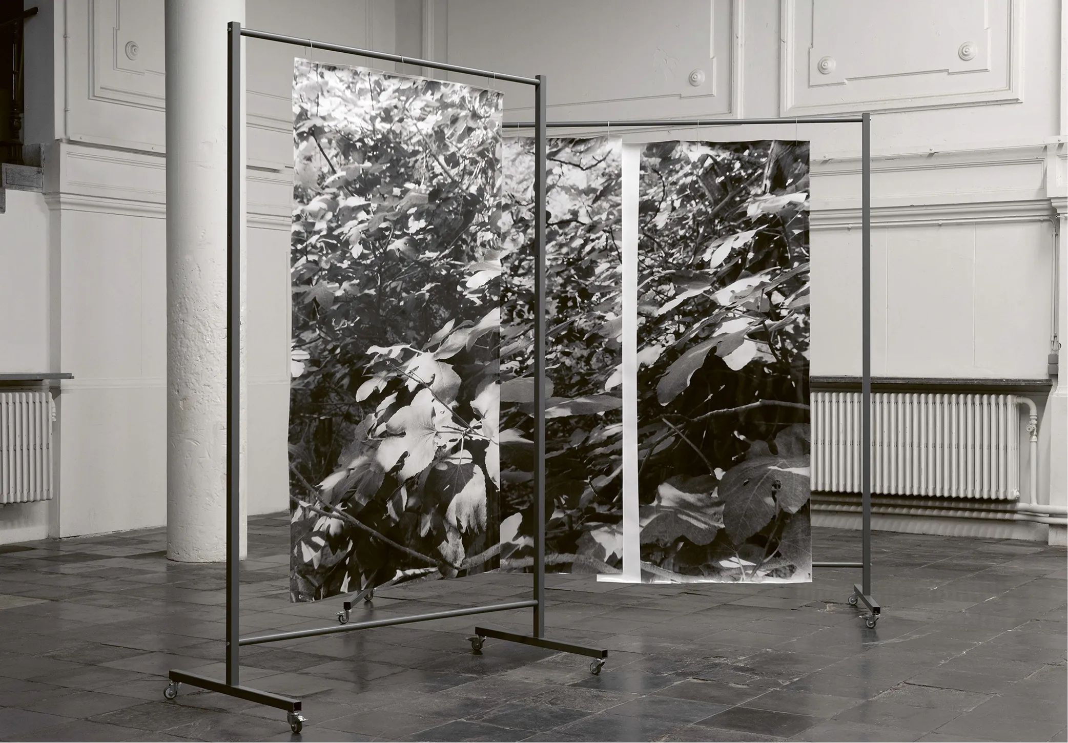 Image of Berit Schneidereit – Walks, conversations