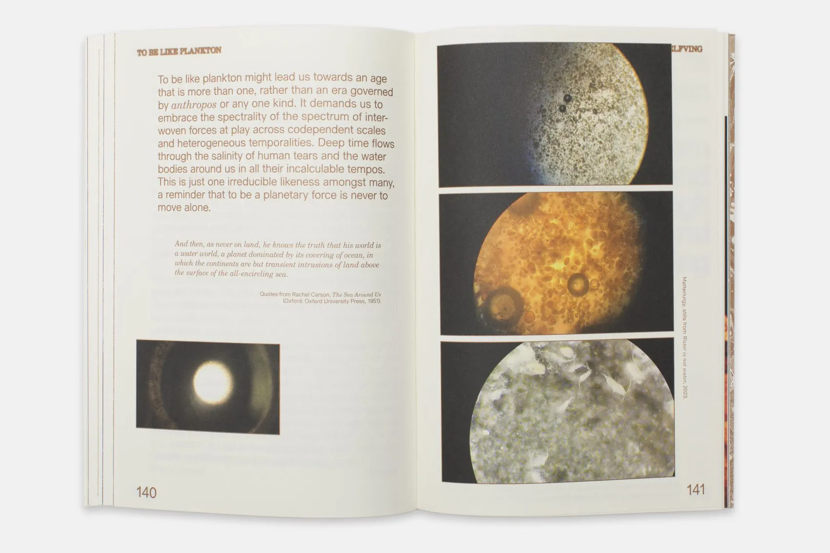 Image of Enfleshed – Ecologies of Entities and Beings