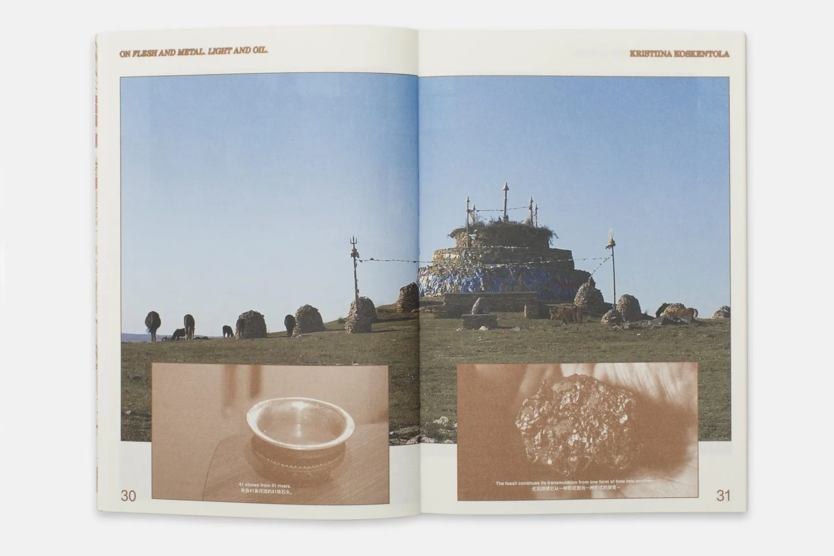 Image of Enfleshed – Ecologies of Entities and Beings