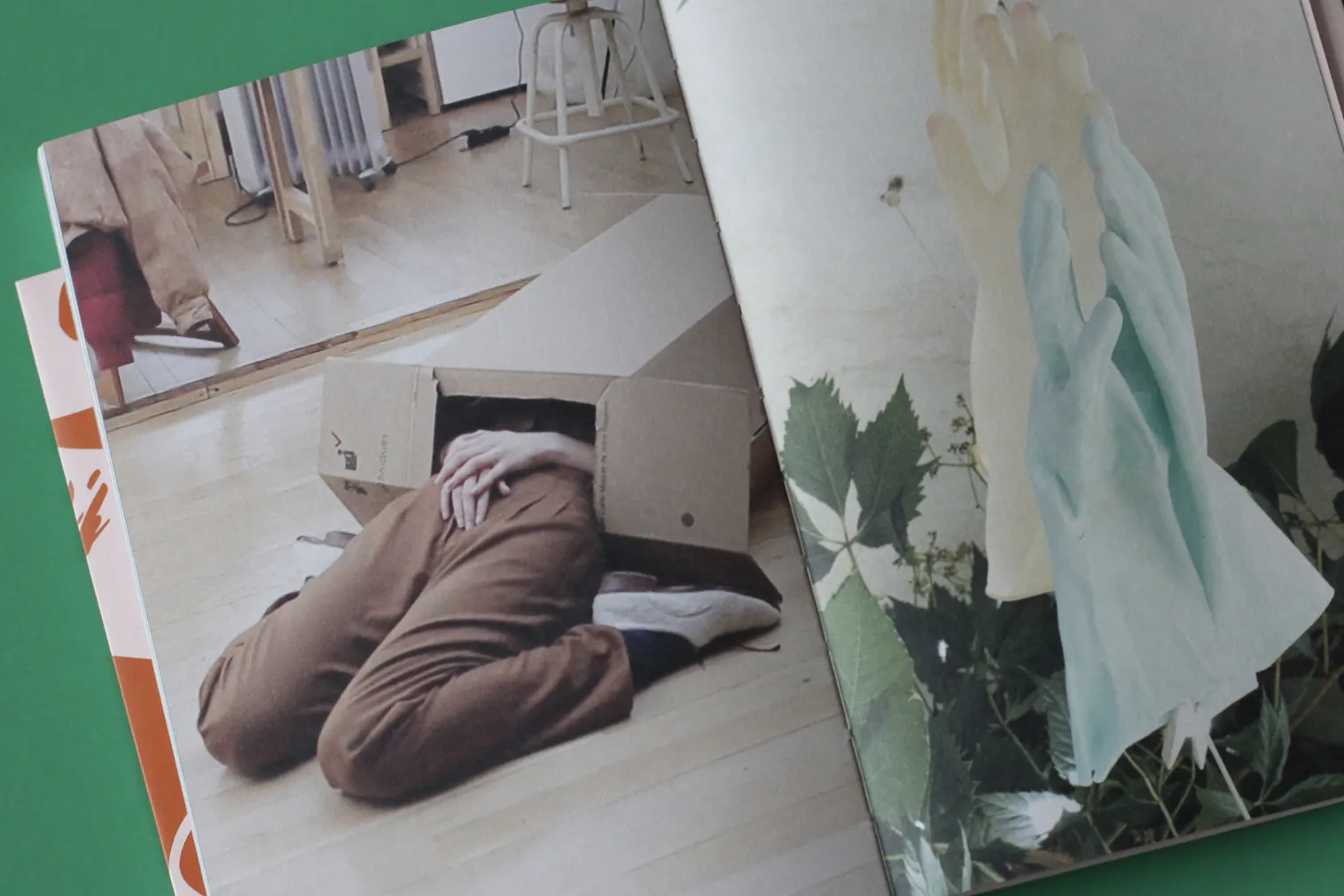 Image of Mercedes Azpilicueta – Bestiary of Tonguelets