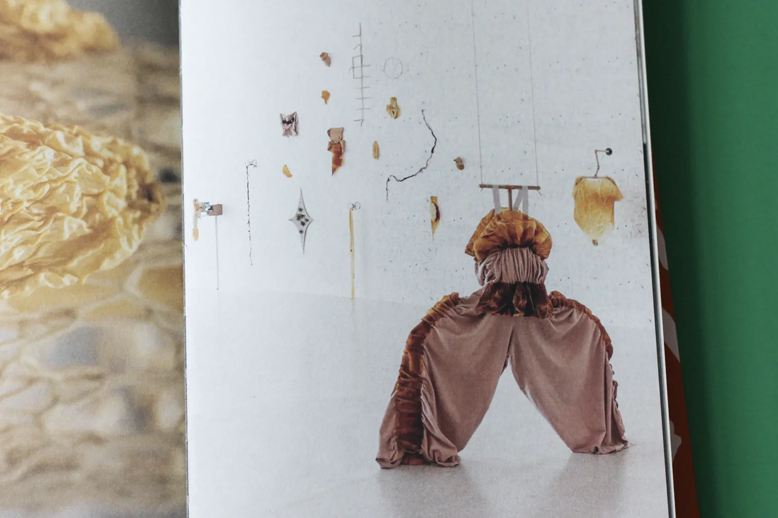 Image of Mercedes Azpilicueta – Bestiary of Tonguelets