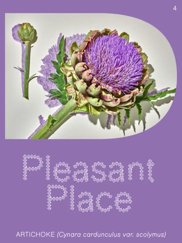 Issue 4: Artichoke (Cynara cardunculus var. scolymus) by Pleasant Place. Published by Pleasant Place, 
