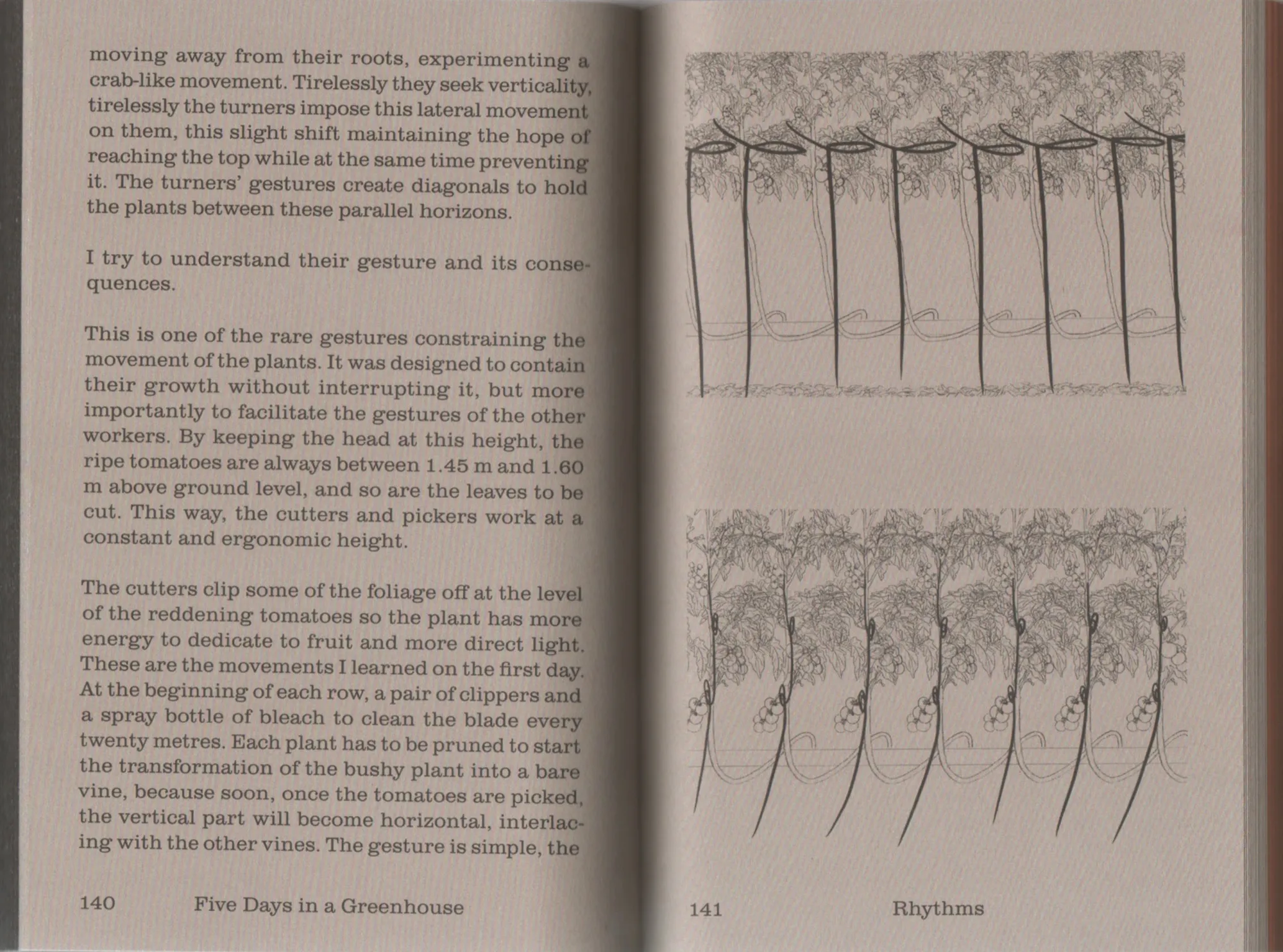 Image of Seasonal Matters Rural Relations (NL edition)