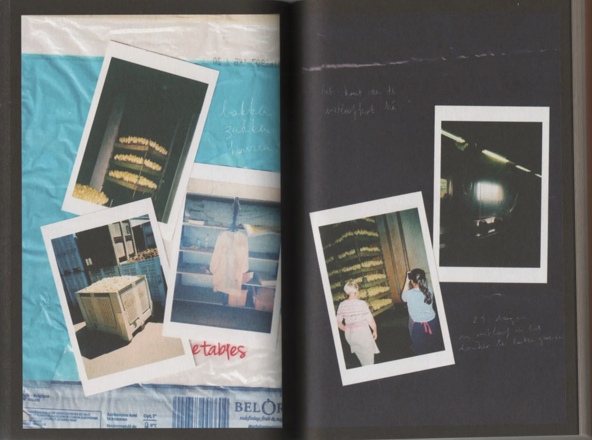 Image of Seasonal Matters Rural Relations (NL edition)