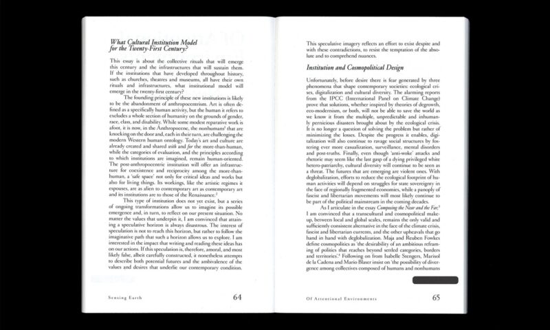 Image of Sensing Earth – Cultural Quests Across a Heated Globe Image of Sensing Earth – Cultural Quests Across a Heated Globe