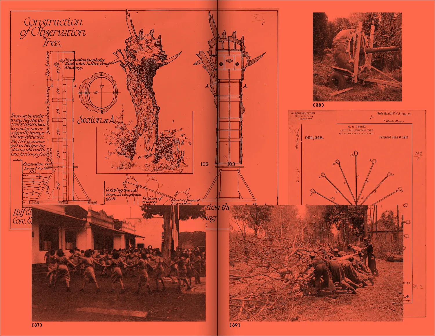 Image of A Tree, A Reader on Arboreal Kinship