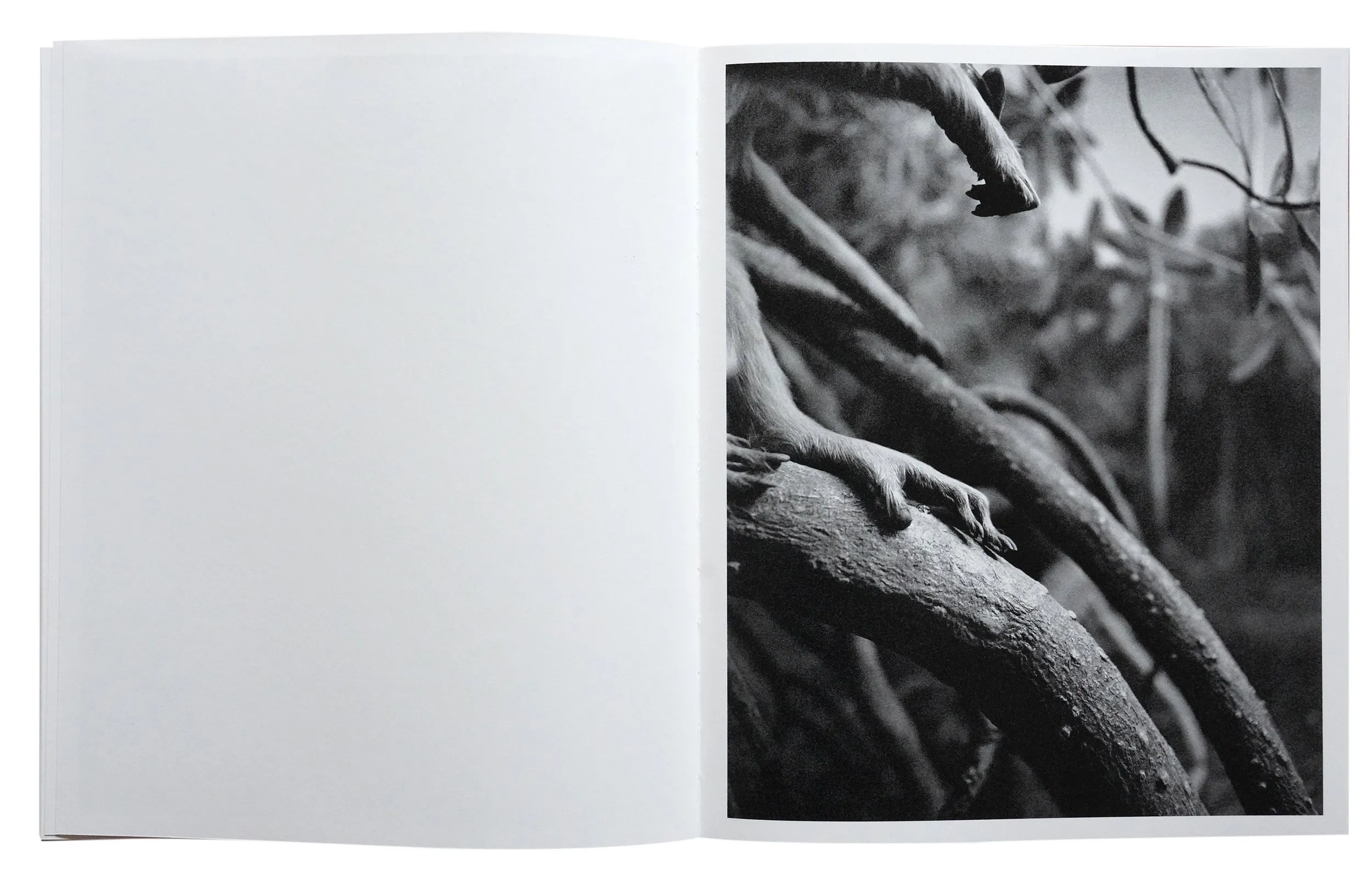 Image of Bendetta Casagrande – All Things Laid Dormant