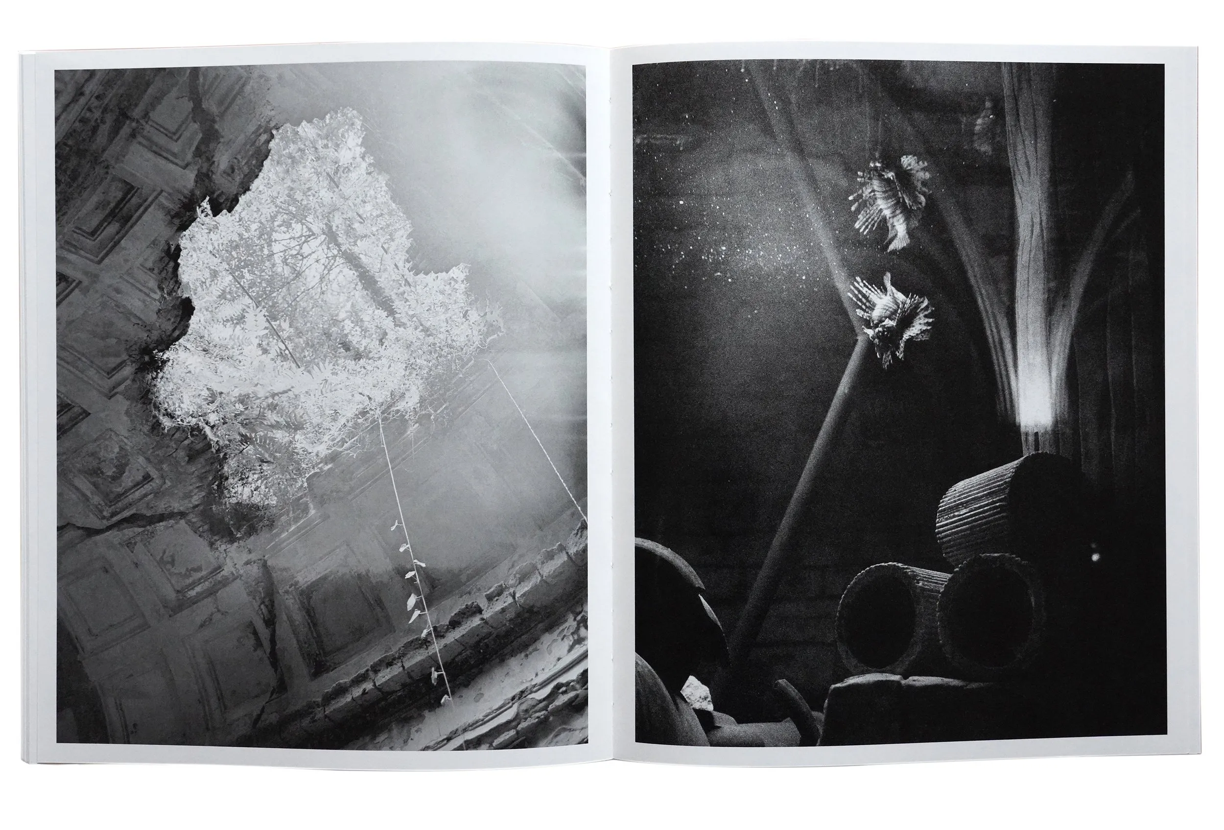 Image of Bendetta Casagrande – All Things Laid Dormant