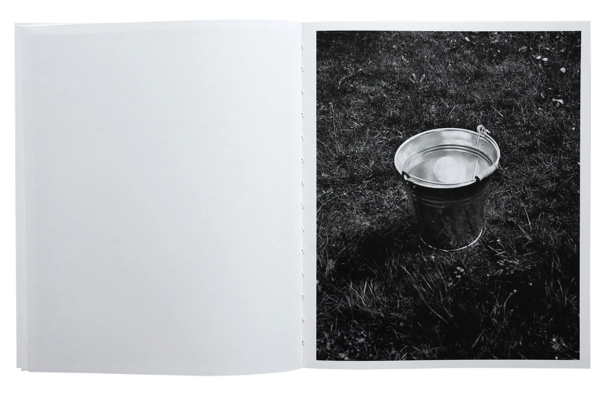 Image of Bendetta Casagrande – All Things Laid Dormant