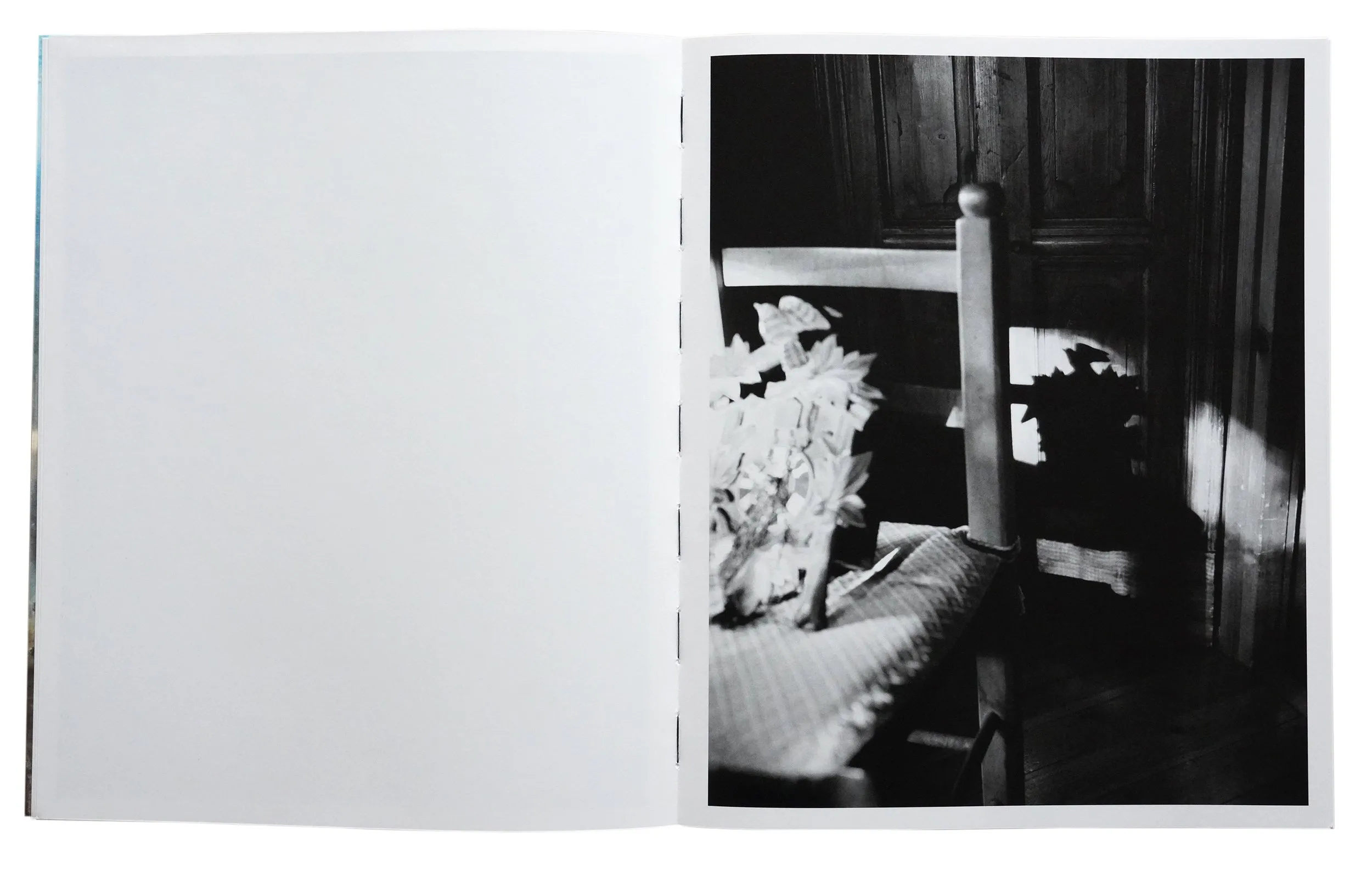 Image of Bendetta Casagrande – All Things Laid Dormant