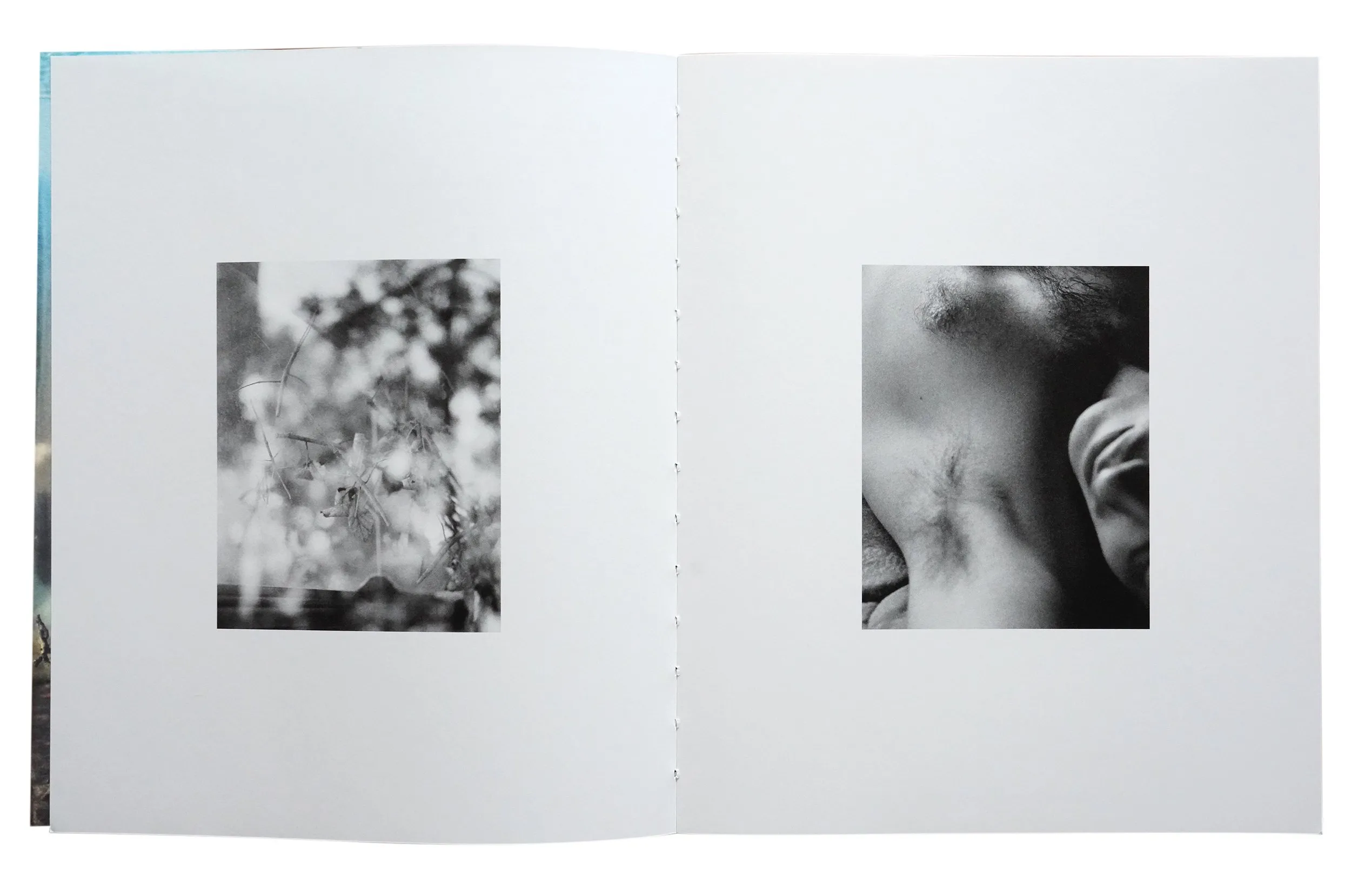 Image of Bendetta Casagrande – All Things Laid Dormant