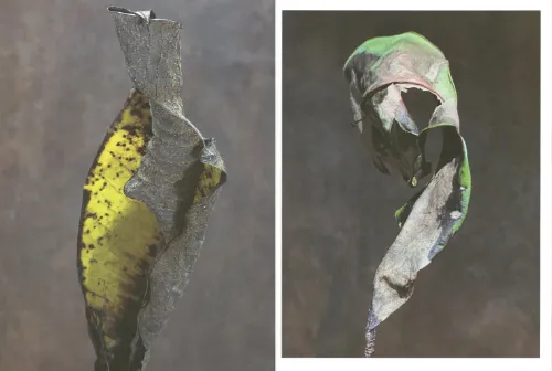 Image of Diana Blok – Living Leaves