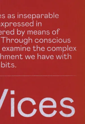 Image of Double Take: On Vices