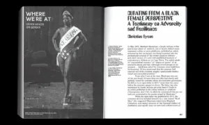 Image of Feminist Art Activisms and Artivisms