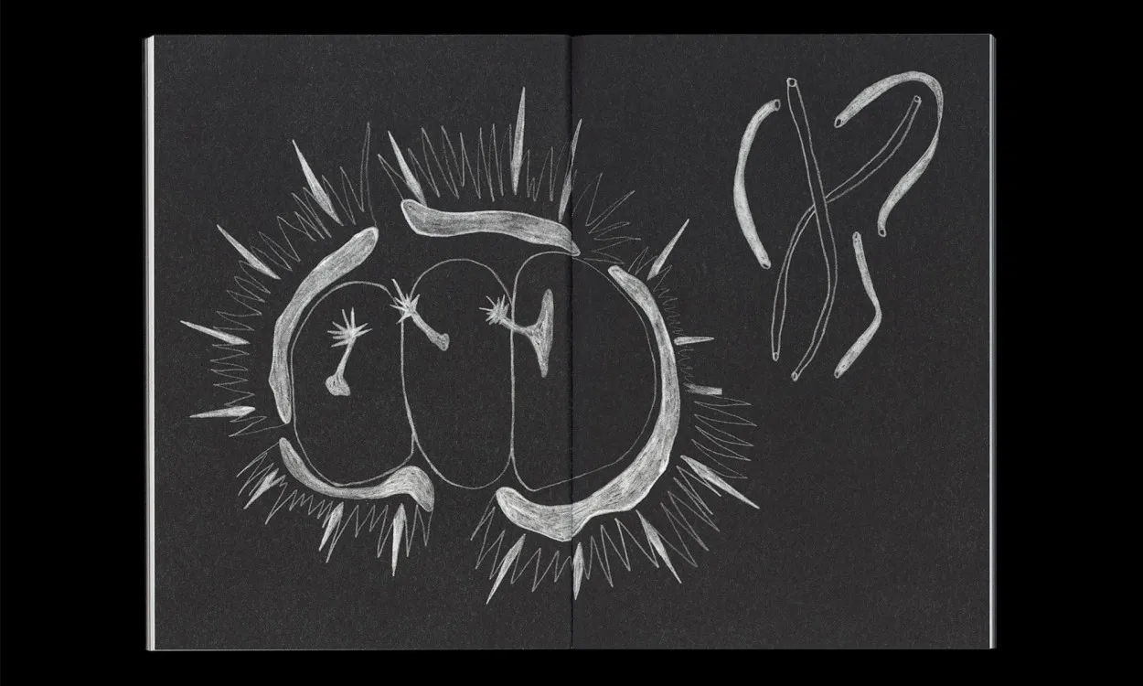 Image of Fragility – To Touch and Be Touched