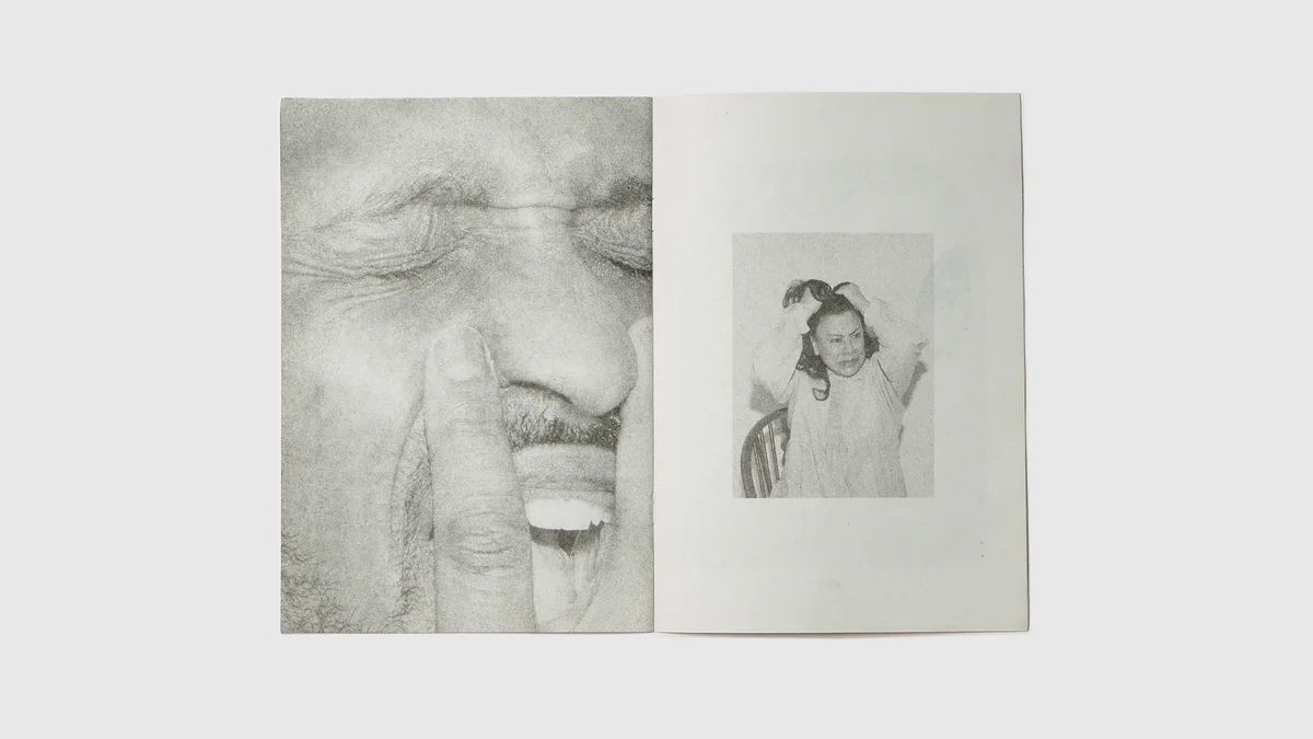 Image of Hato Zines 39 – Polly Brown Tragedy