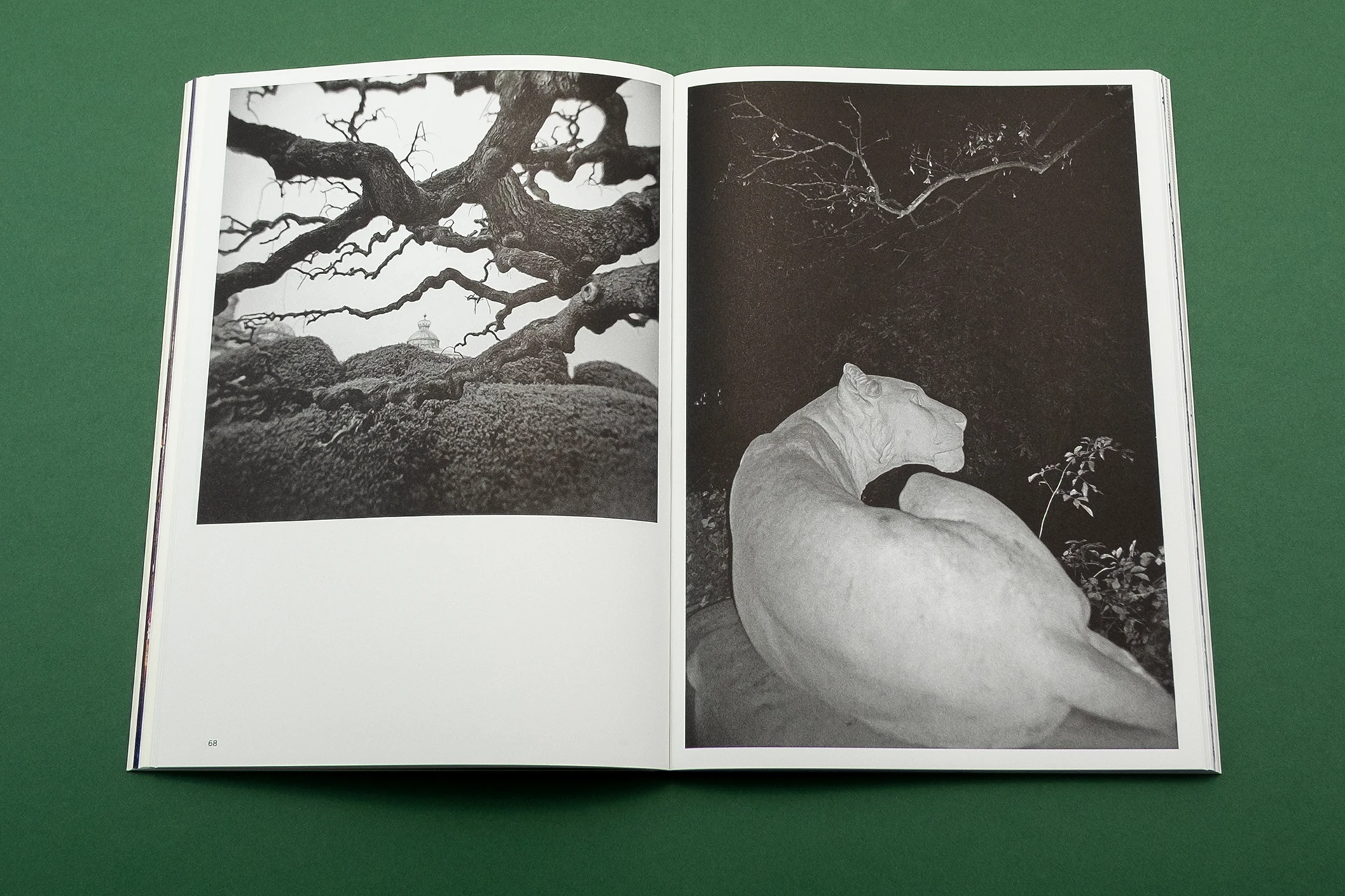 Image of Leopold’s Legacy