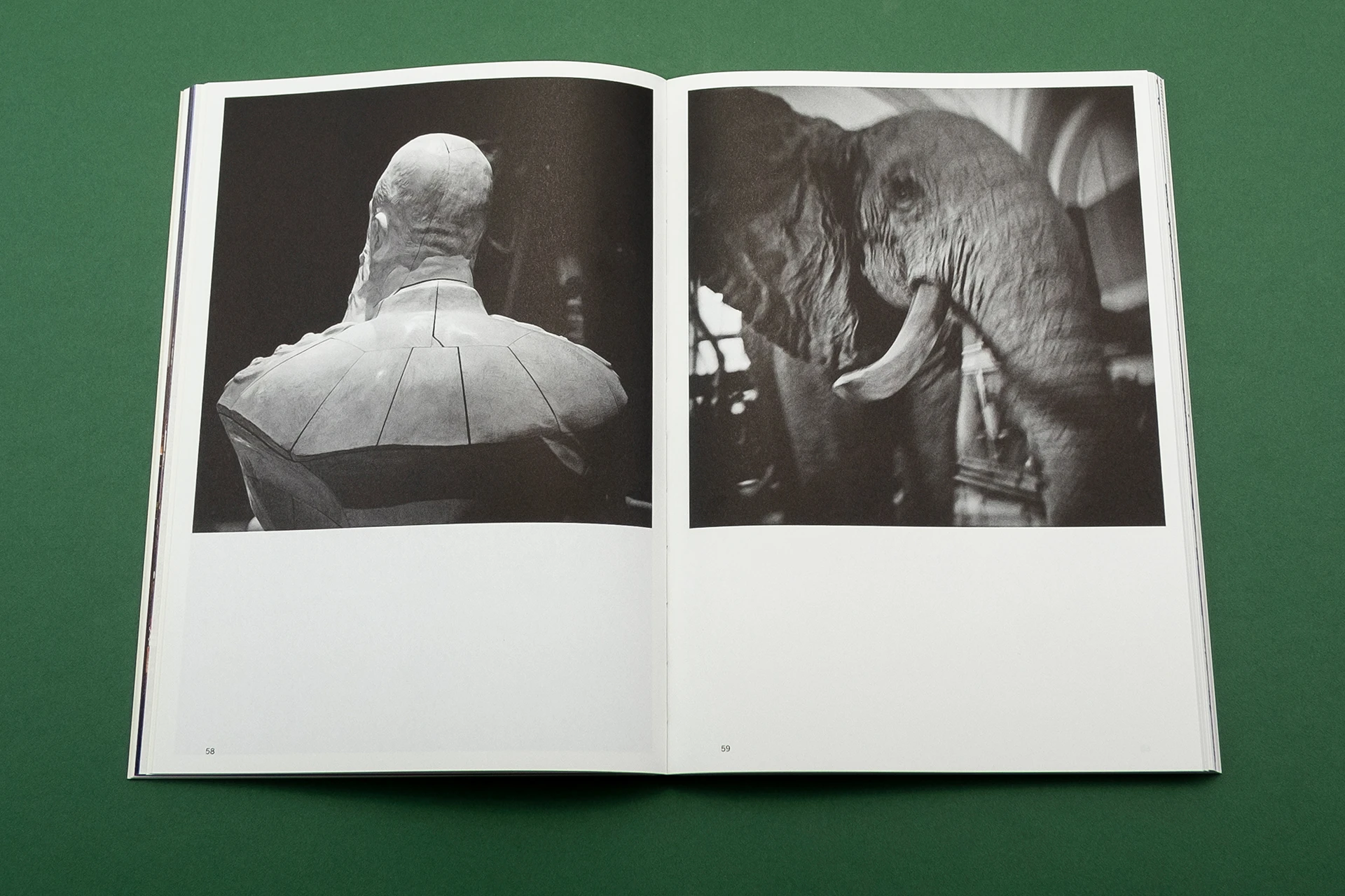 Image of Leopold’s Legacy