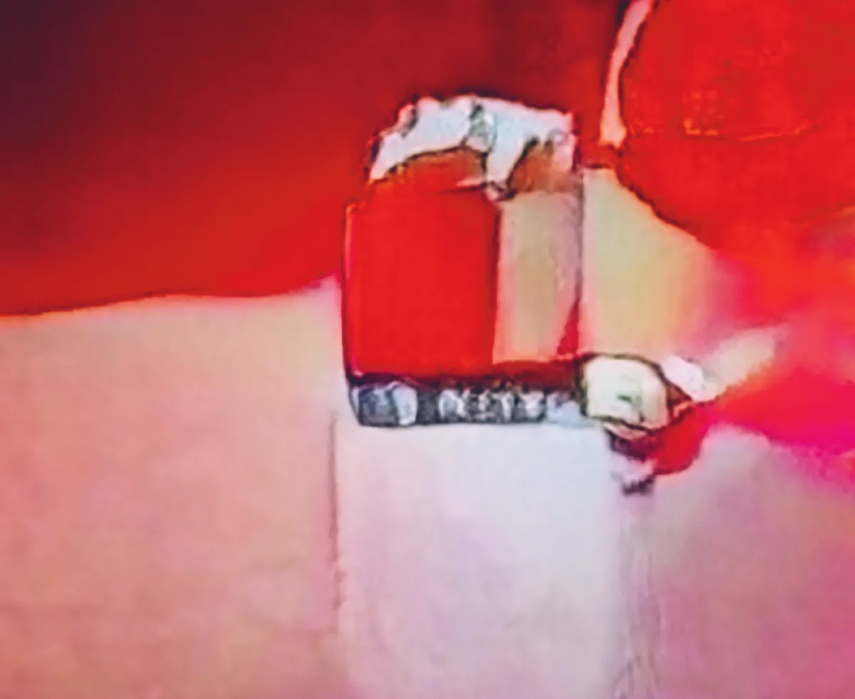 Image of Trevor Paglen – Adversarially Evolved Hallucinations