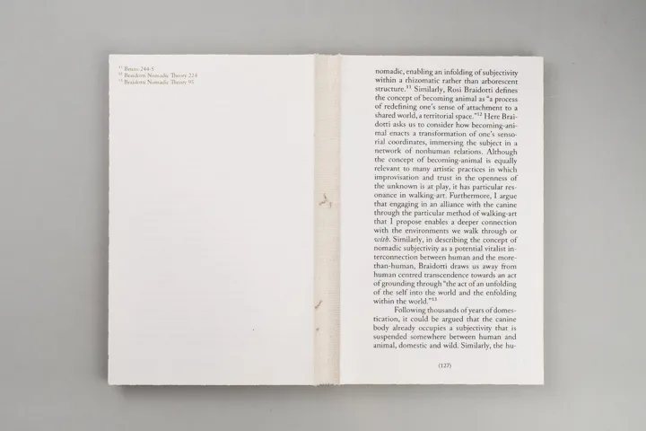 Image of Walking as Research Practice