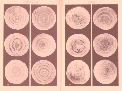 Image of Anushka Nair – Roo(u)ting