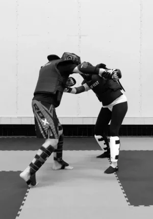 Image of Linus ’Blanket