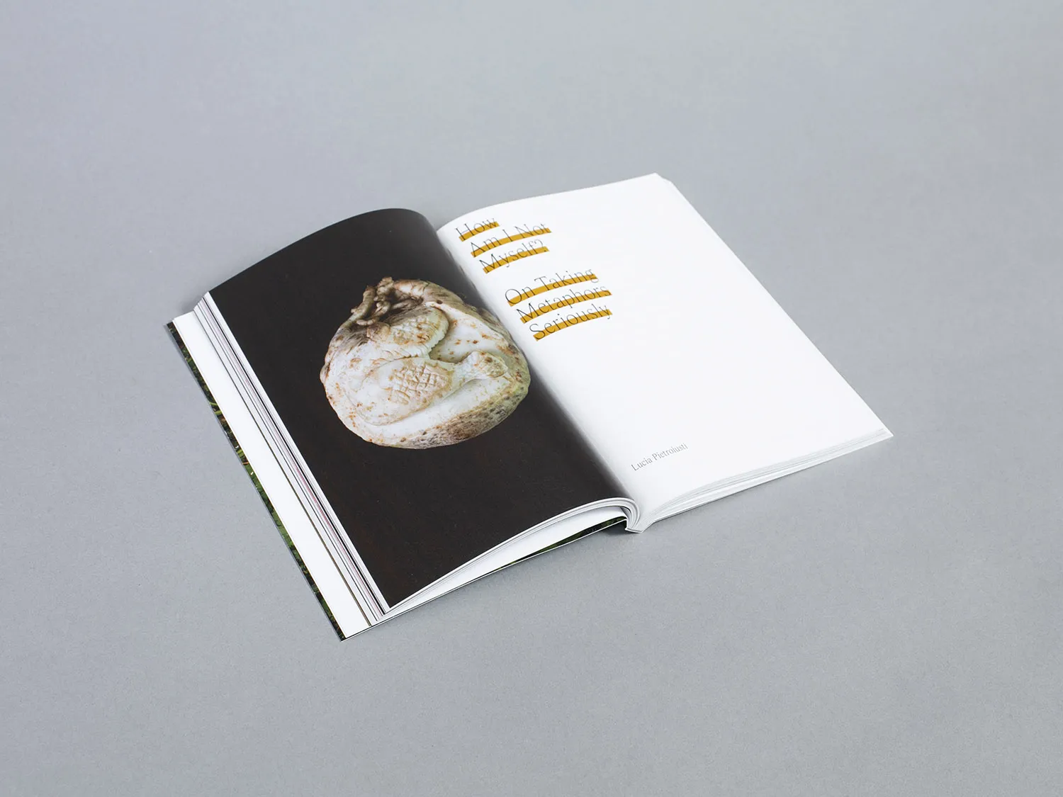 Image of Eva Kotátková – Animal Touch