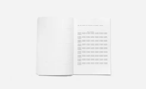 Image of Félicia Atkinson – Animals