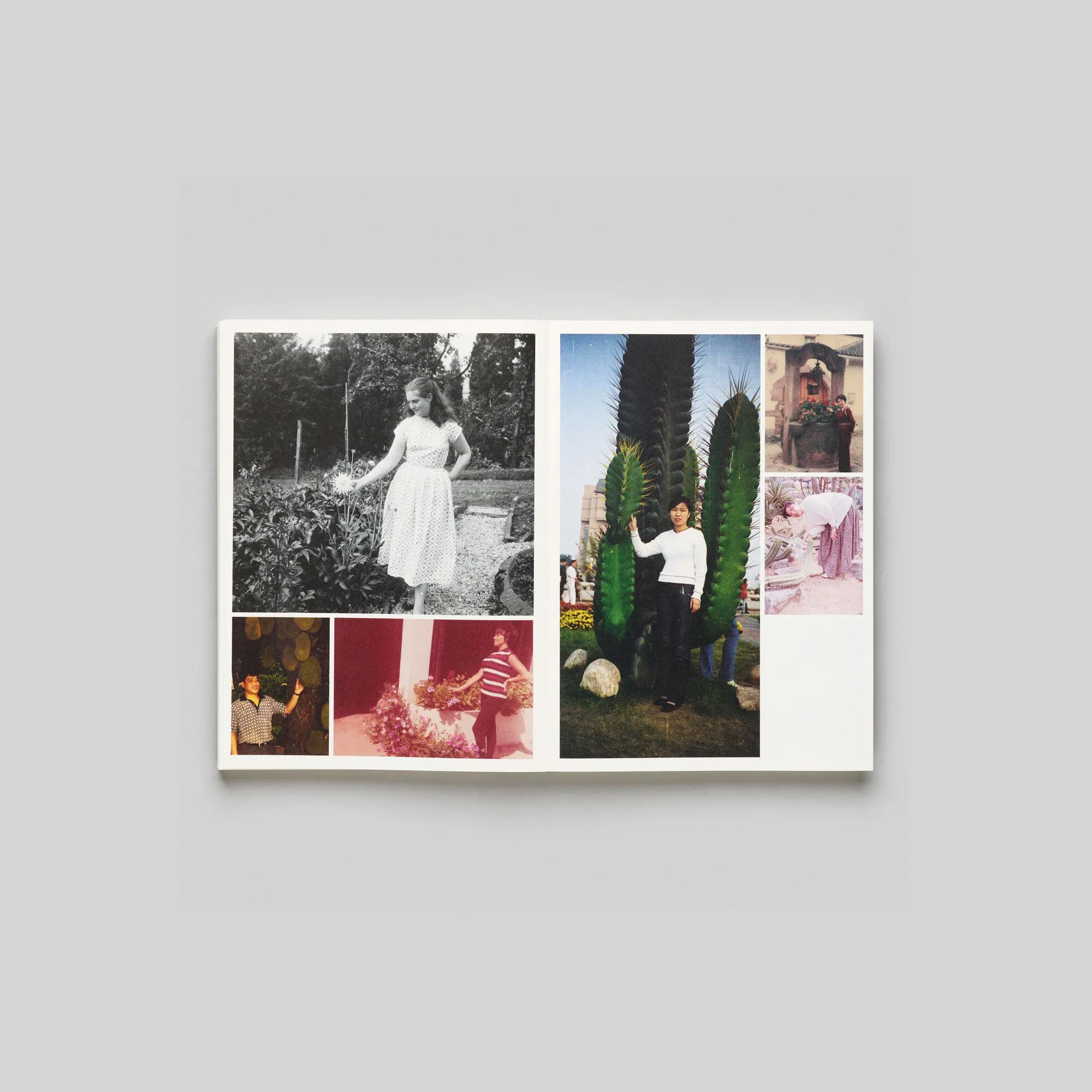 Image of Incomplete Encyclopedia of Touch