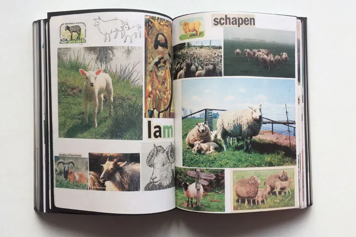 Image of Lous Martens – Animal Books for Jaap Zeno Anna Julian Luca (new edition)