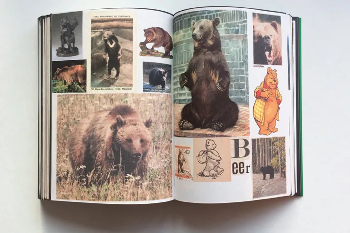 Image of Lous Martens – Animal Books for Jaap Zeno Anna Julian Luca (new edition)