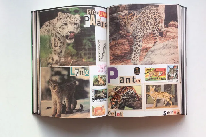 Image of Lous Martens – Animal Books for Jaap Zeno Anna Julian Luca (new edition)