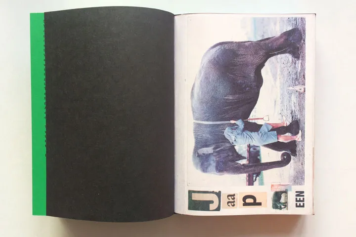 Image of Lous Martens – Animal Books for Jaap Zeno Anna Julian Luca (new edition)