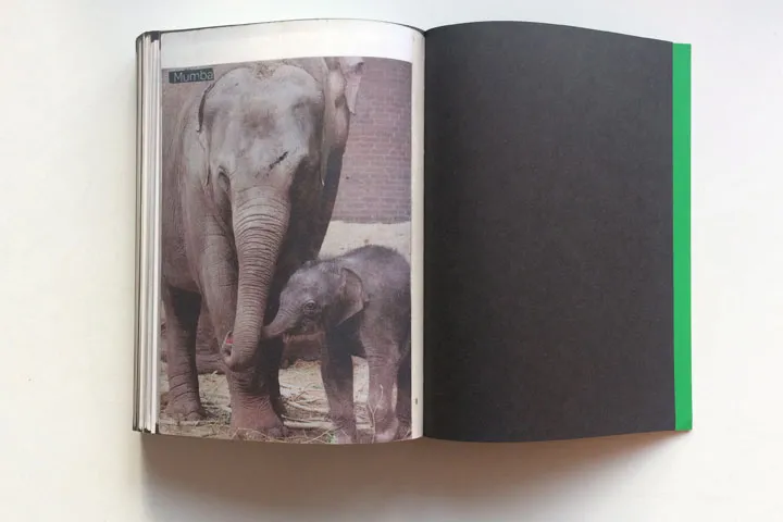 Image of Lous Martens – Animal Books for Jaap Zeno Anna Julian Luca (new edition)