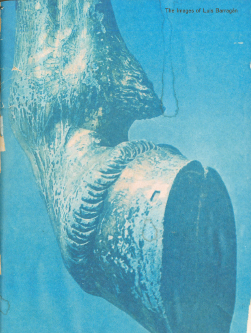 アート・デザイン・音楽 LUIS BARRAGAN 5fa4516ae79c209536003187794b1d