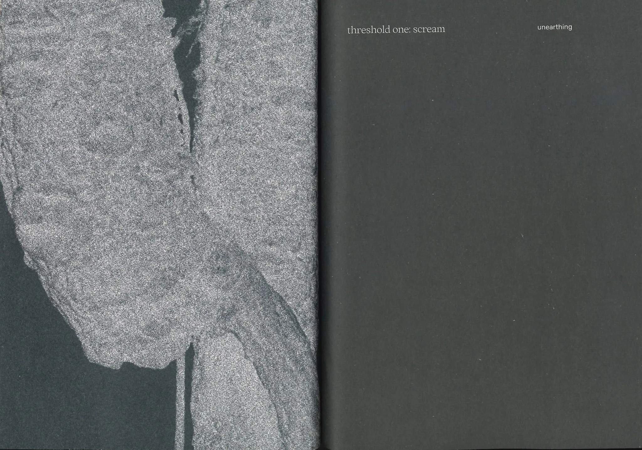 Image of Three Becomes Two Becomes One Becomes None – cosmopoiesis of mandragoras