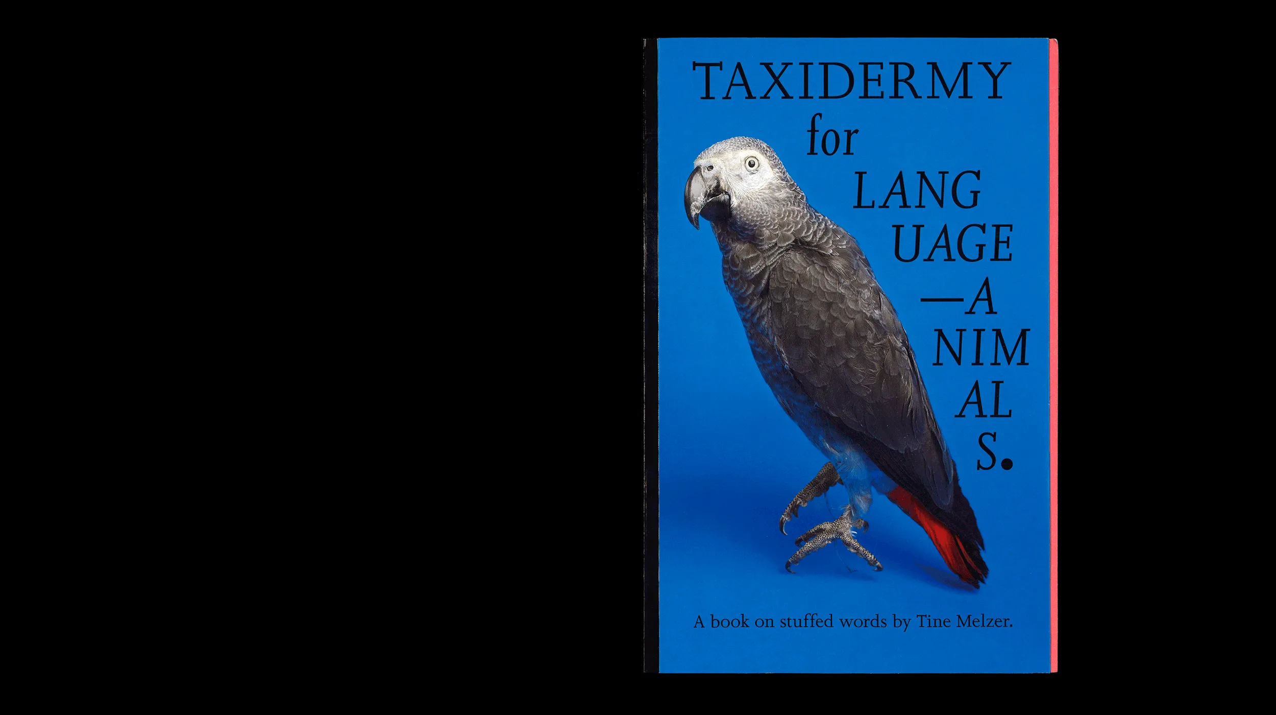 Image of Tine Melzer – Taxidermy For Language-Animals