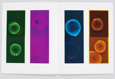 Image of Agnes Costa – FLOU