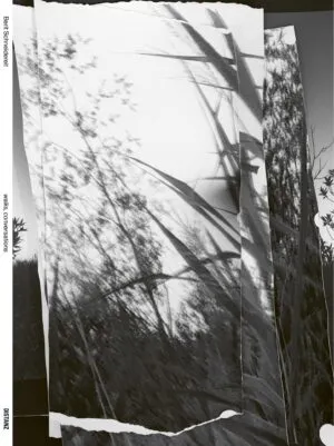 Image of Walks, conversations