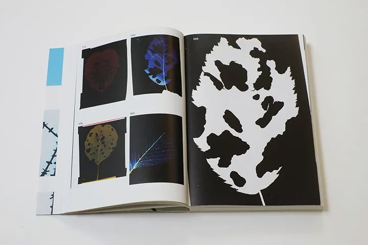 Image of Eva-Fiore Kovacovsky – Feeding on Light