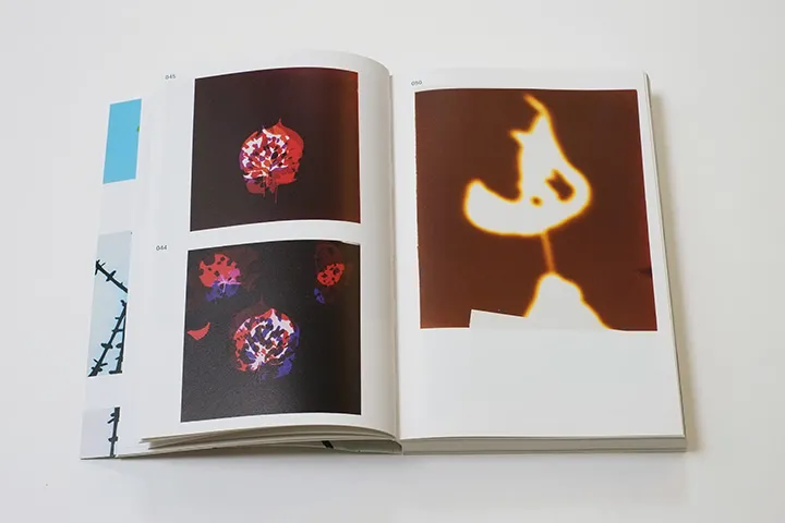 Image of Eva-Fiore Kovacovsky – Feeding on Light