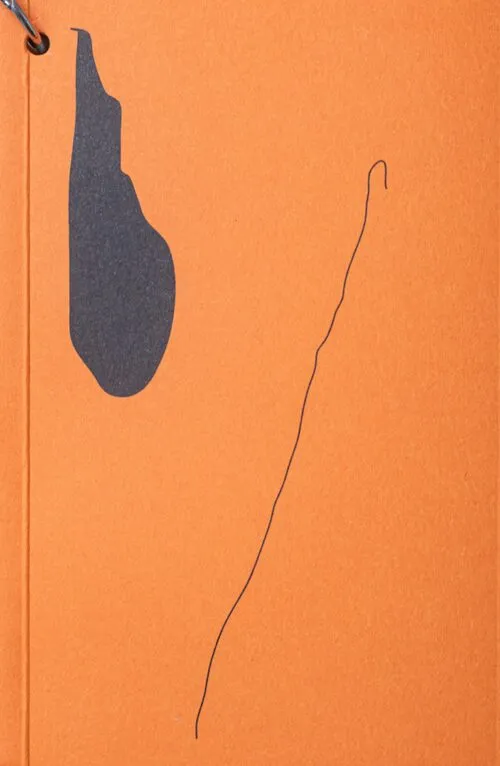 Cover Ignace Cami – I’ll explain everything to the geese